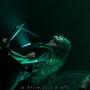 20102011_The-Halo-Effect-Rockhal-17